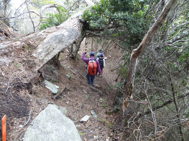 津志嶽　大屋内　鉄塔保線路　登山口から_b0124306_171462.jpg