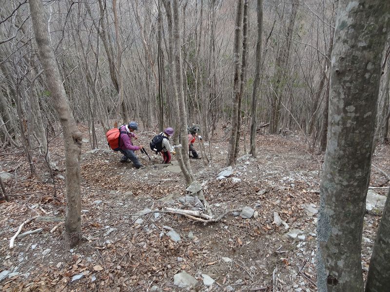 津志嶽　大屋内　鉄塔保線路　登山口から_b0124306_17173734.jpg