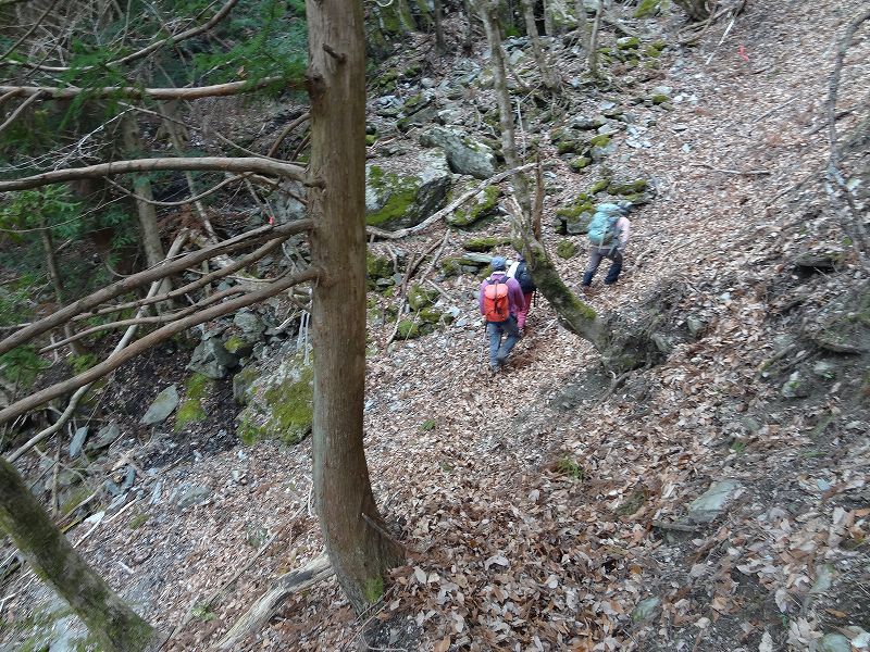 津志嶽　大屋内　鉄塔保線路　登山口から_b0124306_17183741.jpg