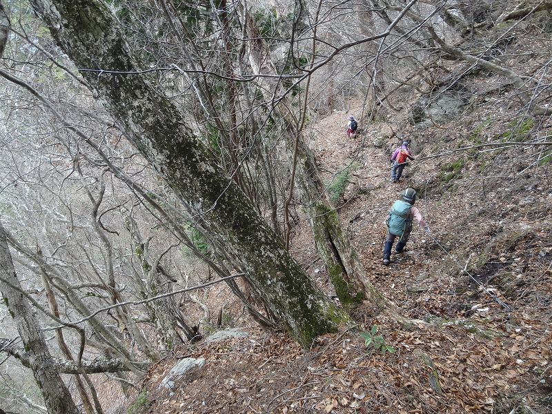 津志嶽　大屋内　鉄塔保線路　登山口から_b0124306_1775595.jpg