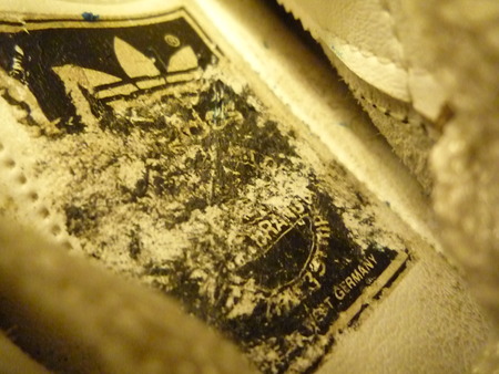adidasそして・・・チャベス!(最後までちゃんと見てね)_f0180307_226988.jpg