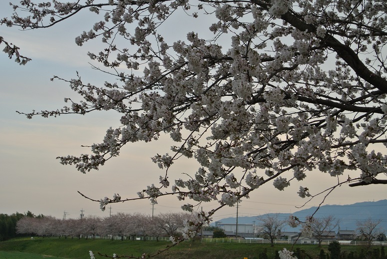 f0179209_11133094.jpg