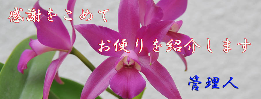 お便り紹介 5_a0042310_8513151.jpg