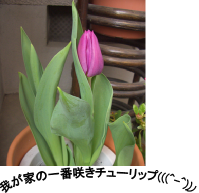 a0267710_9124070.png