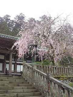 c0141011_9404743.jpg