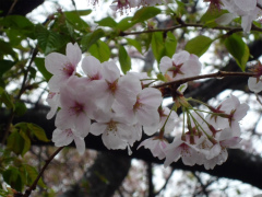 もみの木リフォーム 完成しました_d0130212_17183269.jpg