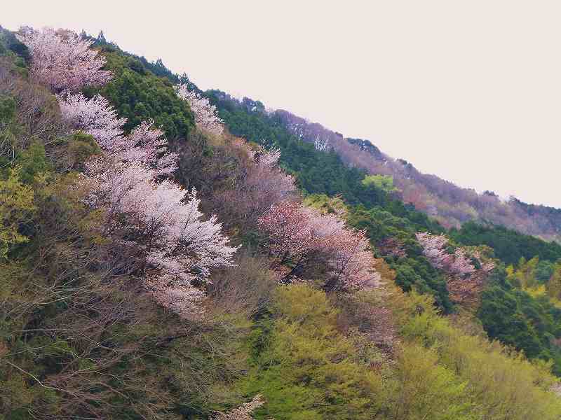 f0182513_2232617.jpg