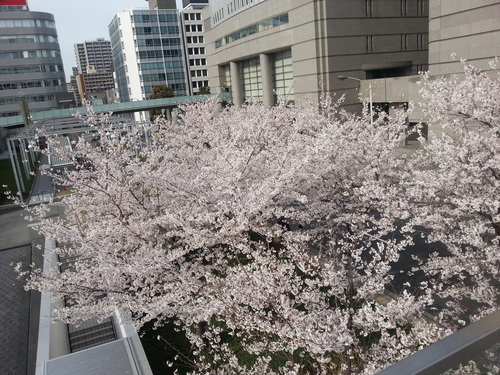 f0194716_16385176.jpg