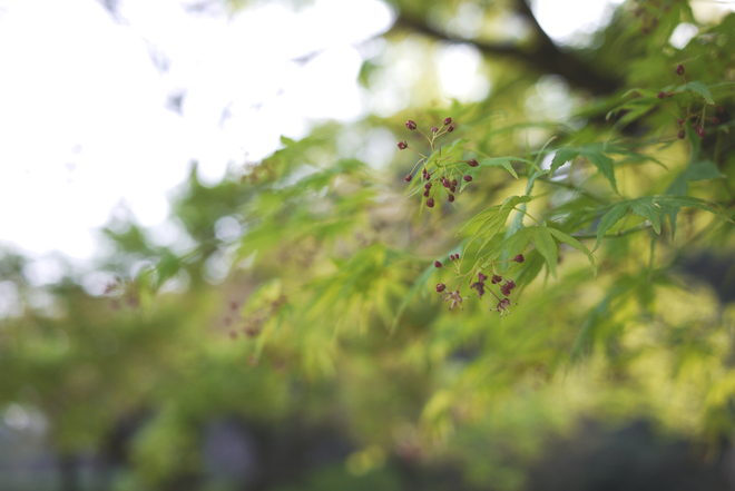 南九州釣り行脚2013　　１日目_e0200926_1014059.jpg