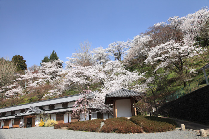 西吉野の花めぐり_e0025930_18512175.jpg