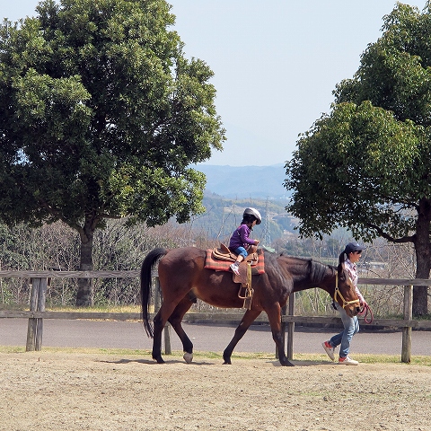 日本昭和村_c0077531_1658245.jpg
