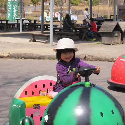日本昭和村_c0077531_17224068.jpg
