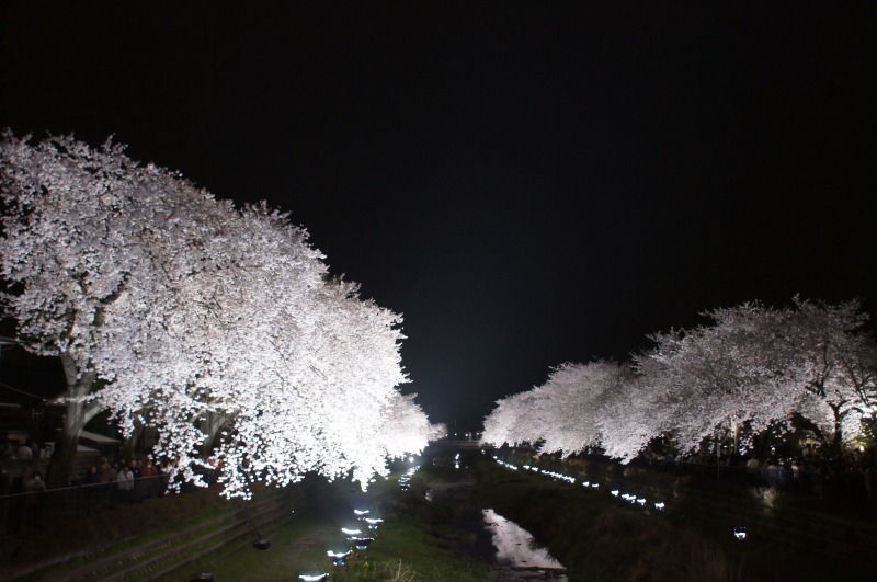 a0122932_13252027.jpg