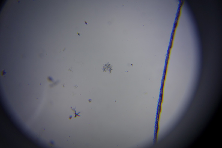 a0287336_9334029.jpg