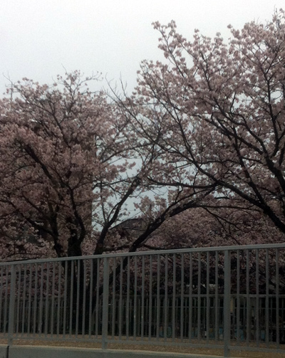 c0036138_2155033.jpg
