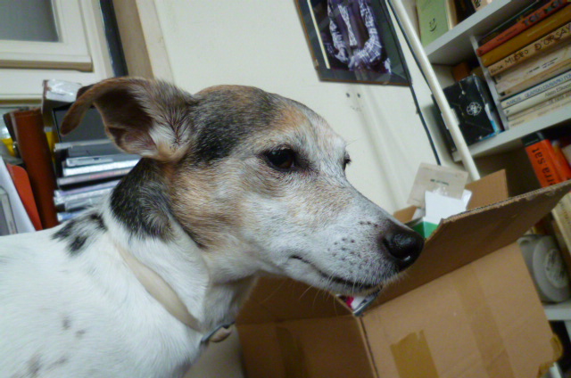 d0170140_04187.jpg