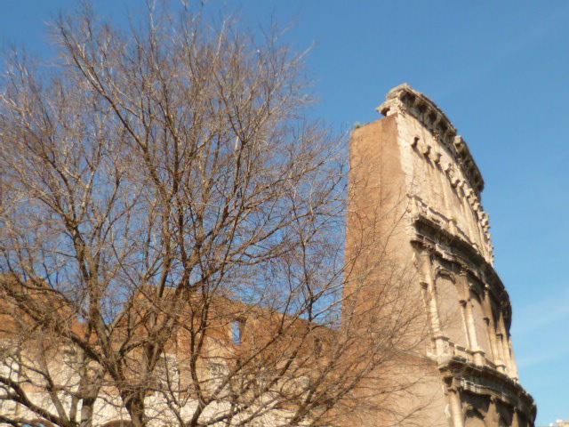 d0170140_2312363.jpg