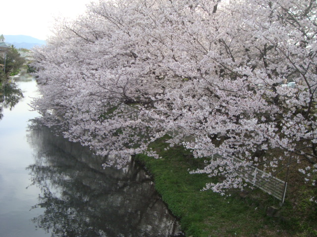e0060041_20482133.jpg