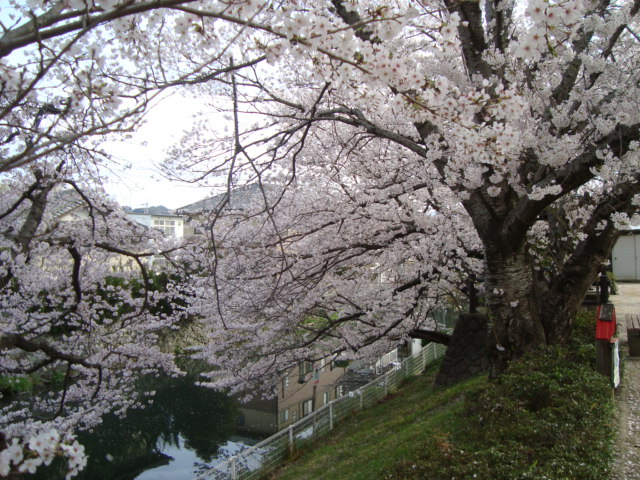 e0060041_20484591.jpg