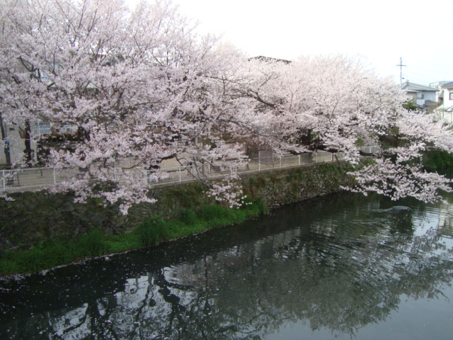 e0060041_20485276.jpg