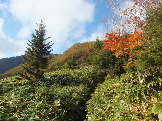 d0285546_22102924.jpg