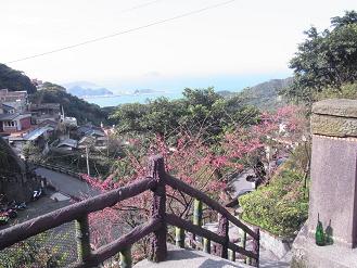 a0098948_23252238.jpg