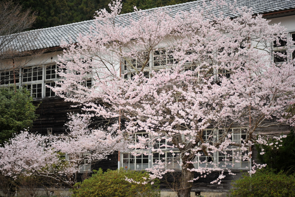 b0147449_1933452.jpg