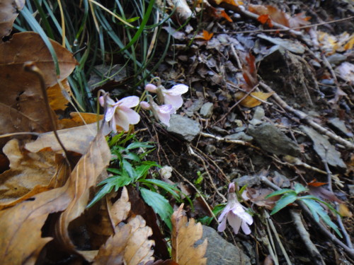 c0179351_10719.jpg