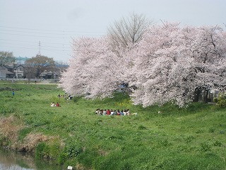 家族時間　ひとり時間_f0191451_6575893.jpg