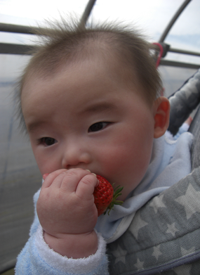 f0160353_11522273.png