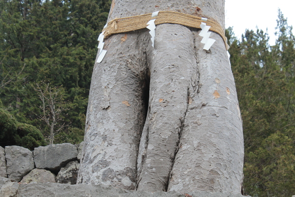 e0316056_2184149.jpg