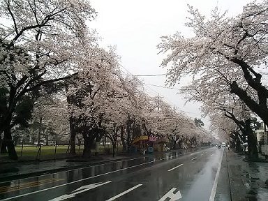 e0227957_124180.jpg