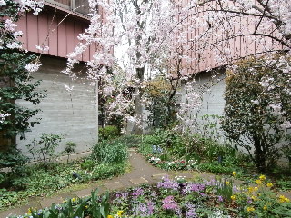いわさきちひろ美術館_e0249060_1438418.jpg