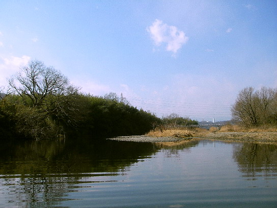 　４月２日　　離水角度と着水角度。_f0084561_14571631.jpg