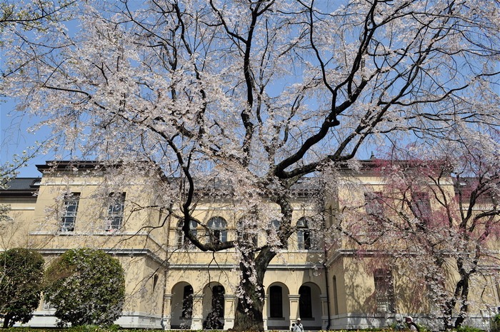 e0125762_12292087.jpg