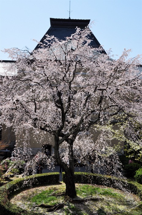 e0125762_12293048.jpg