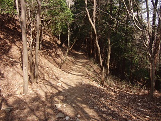 e0187064_21103639.jpg