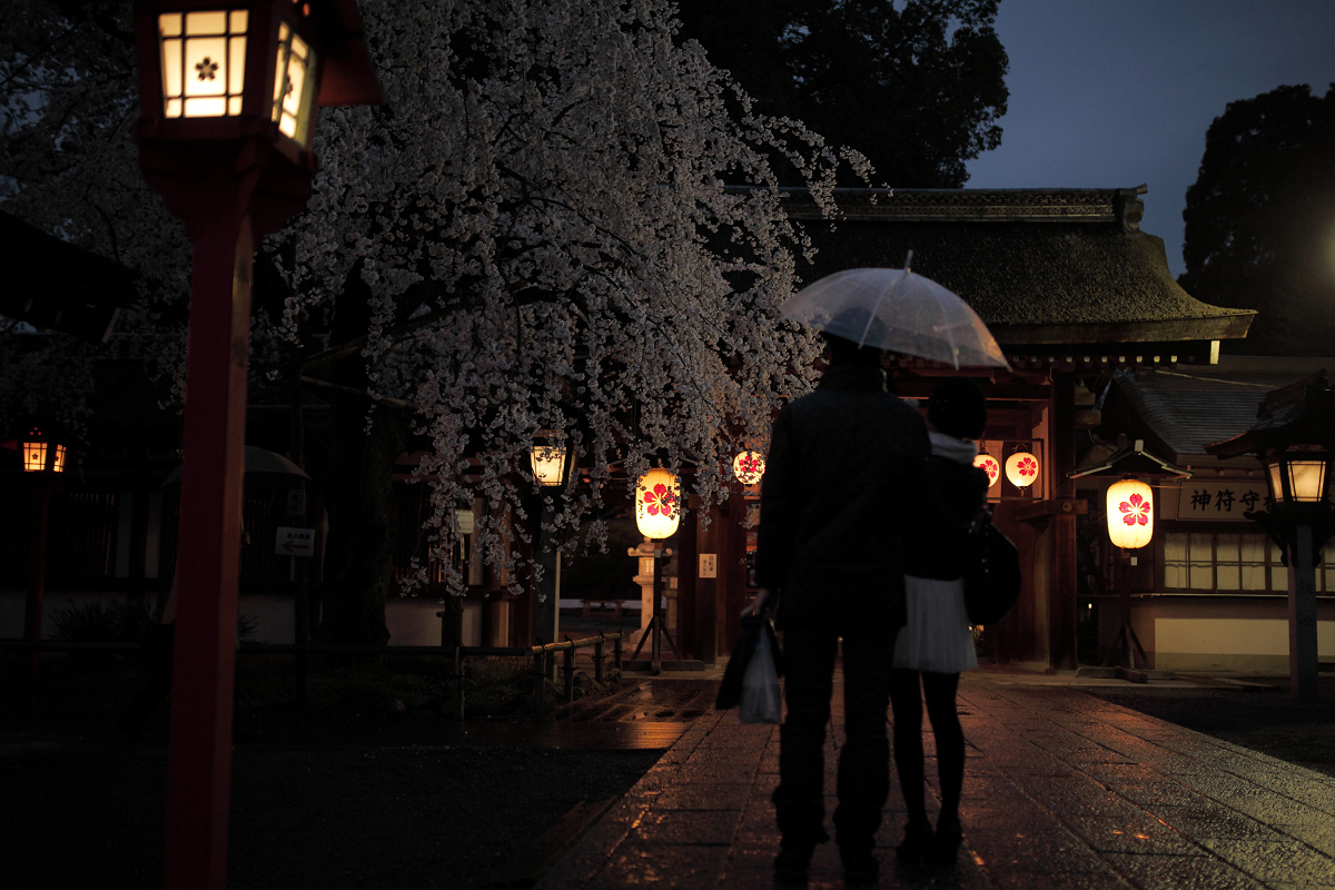 桜 2013 <京都　平野神社> _f0021869_23183038.jpg