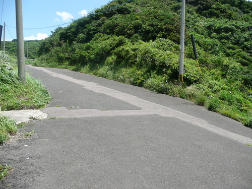 a0154870_1784041.jpg
