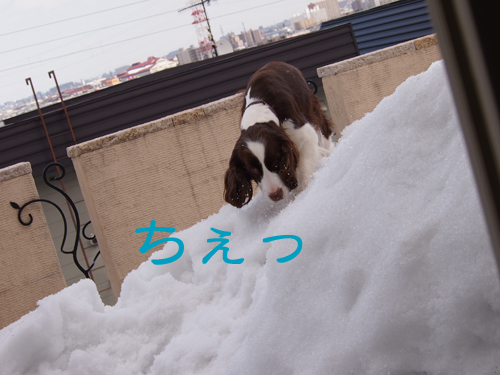 b0204977_20354124.jpg