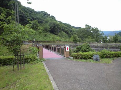 b0005281_17553776.jpg