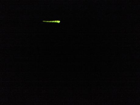 b0005281_17574876.jpg