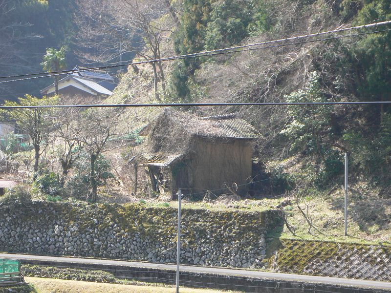 b0042882_1148685.jpg