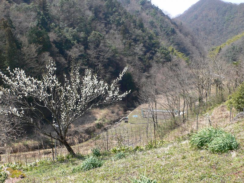 b0042882_11502555.jpg