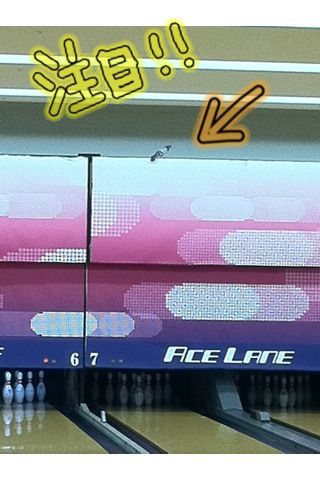 ご来店.｡ﾟ+.(･∀･)ﾟ+.ﾟ_d0162684_2230496.jpg