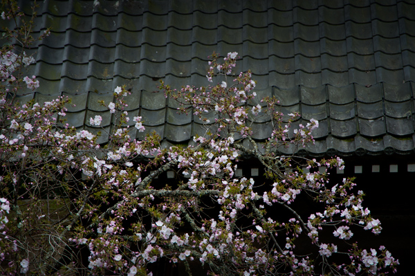 c0168986_10254882.jpg