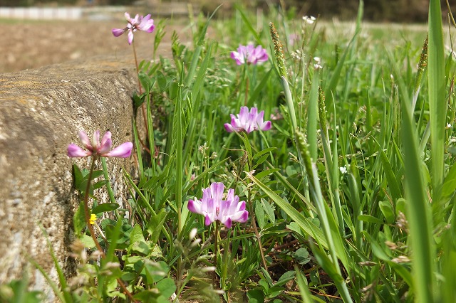 e0070891_20104069.jpg