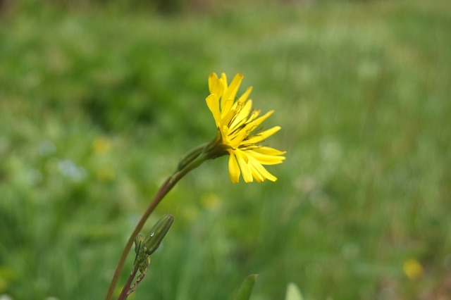 e0070891_20165286.jpg