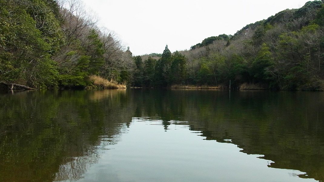 a0152692_17321220.jpg
