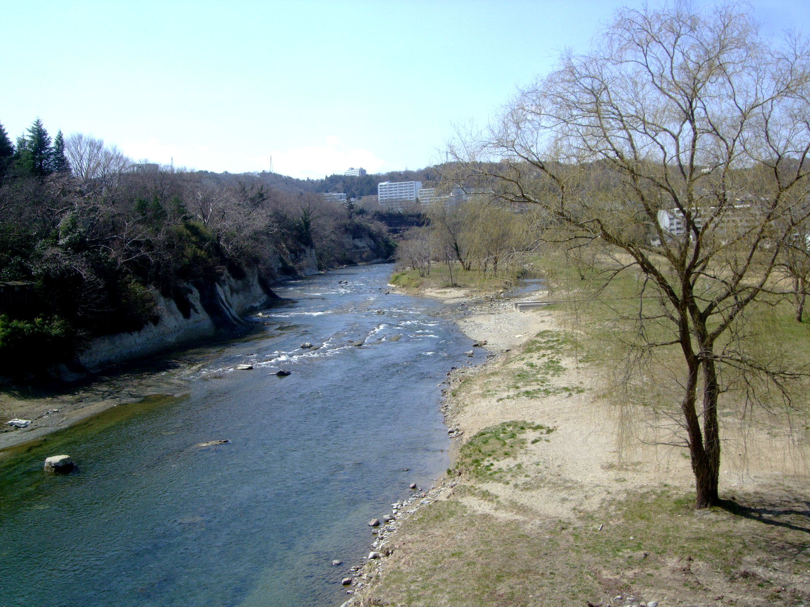 広瀬川の中州を歩いてみる：澱橋～松淵～観音淵_f0100593_19532030.jpg